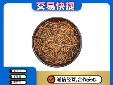 巴彦淖尔高价回收散虫草